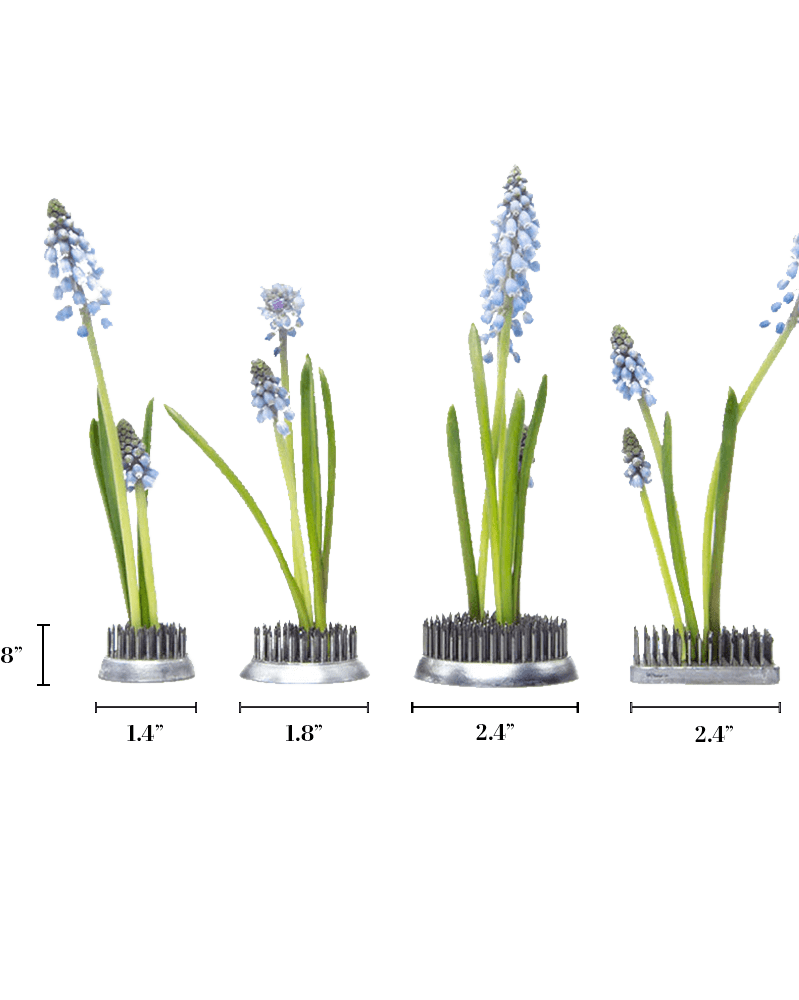 Kenzan Metal Floral Frogs For Ikebana - Chive US Wholesale