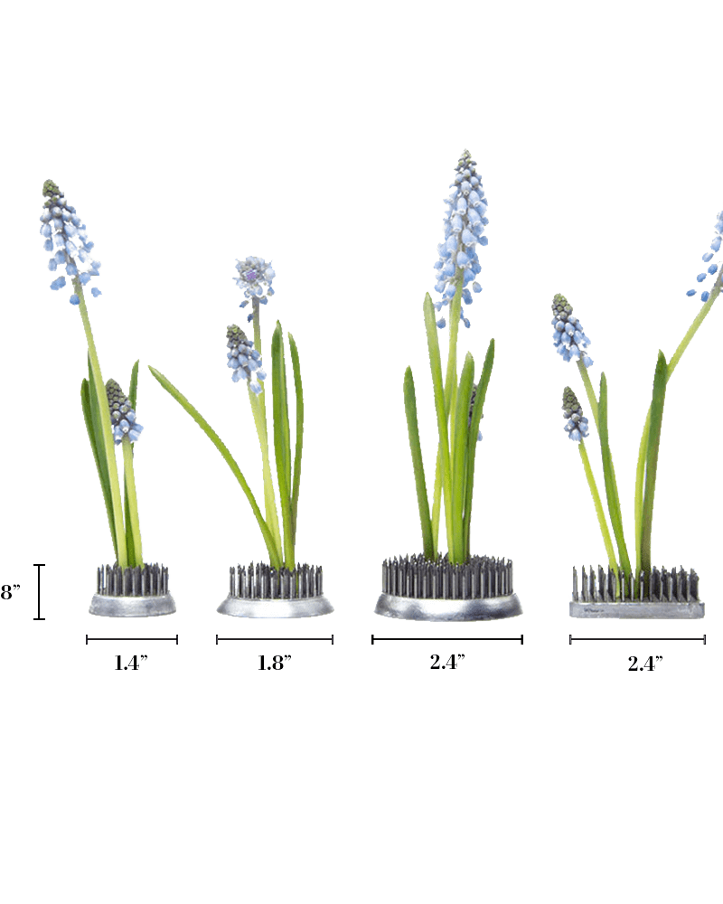 Kenzan Metal Floral Frogs For Ikebana - Chive US Wholesale