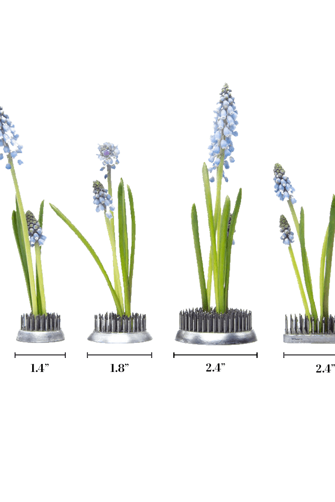 Kenzan Metal Floral Frogs For Ikebana - Chive US Wholesale