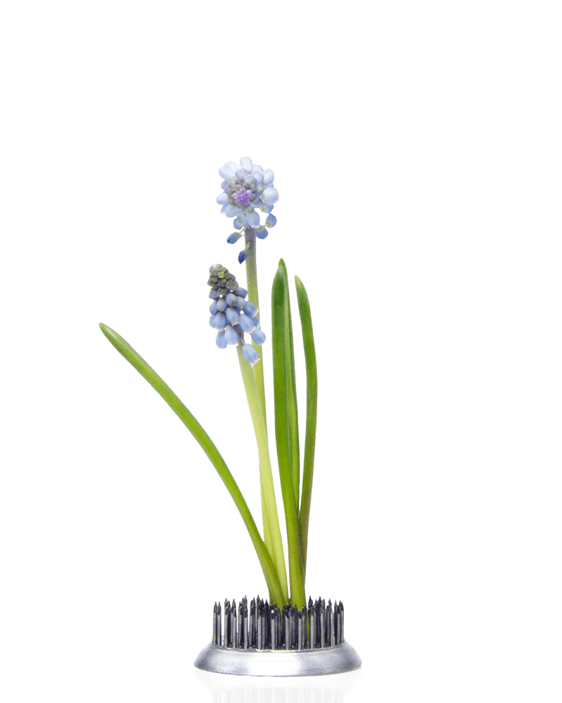 Kenzan Metal Floral Frogs For Ikebana - Chive US Wholesale