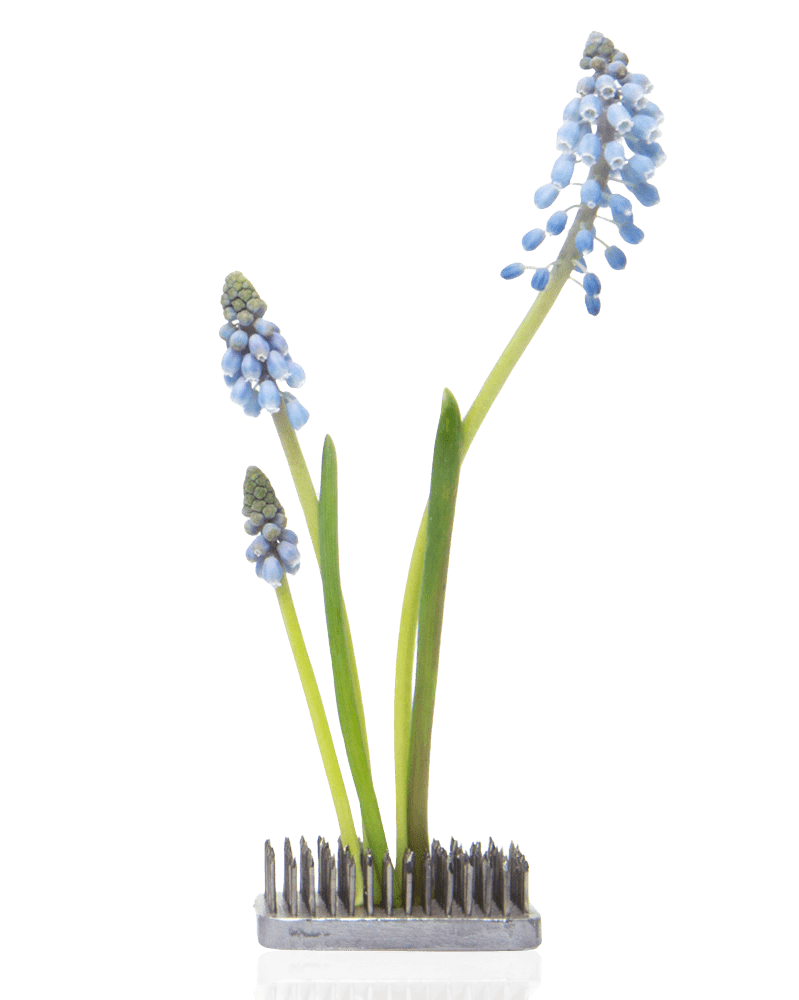 Kenzan Metal Floral Frogs For Ikebana - Chive US Wholesale