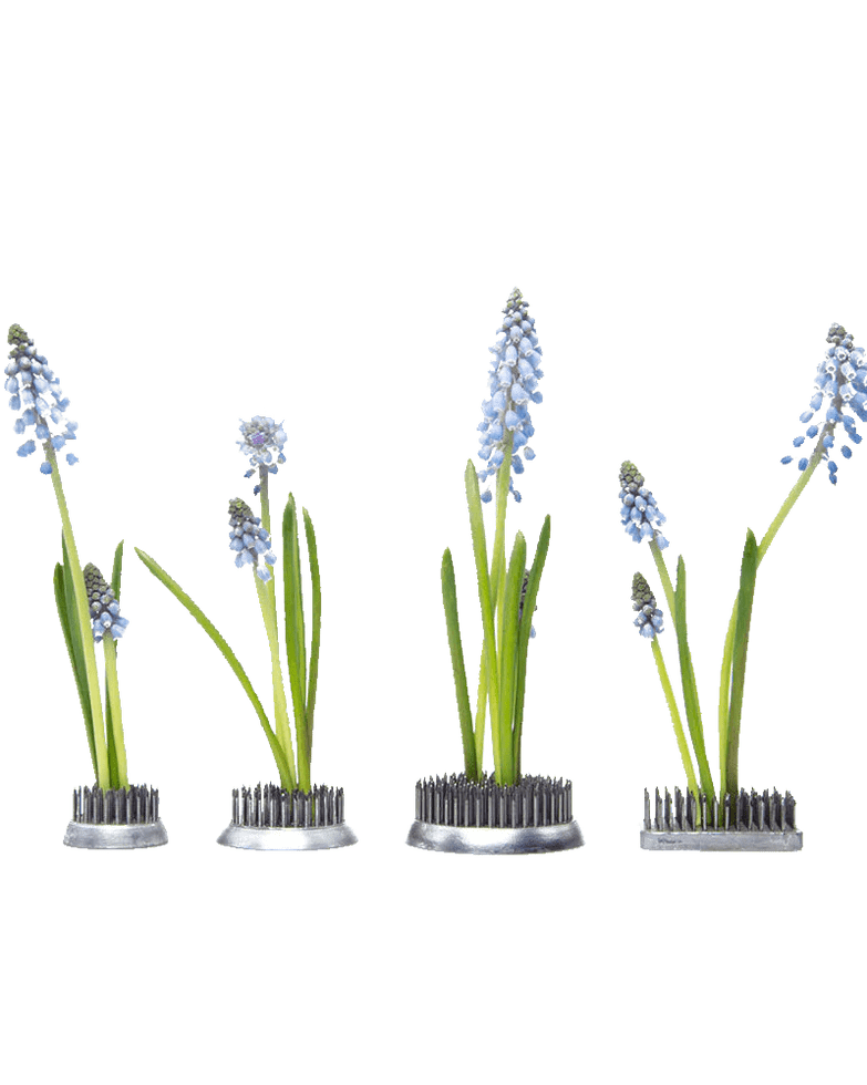 Kenzan Metal Floral Frogs For Ikebana - Chive US Wholesale