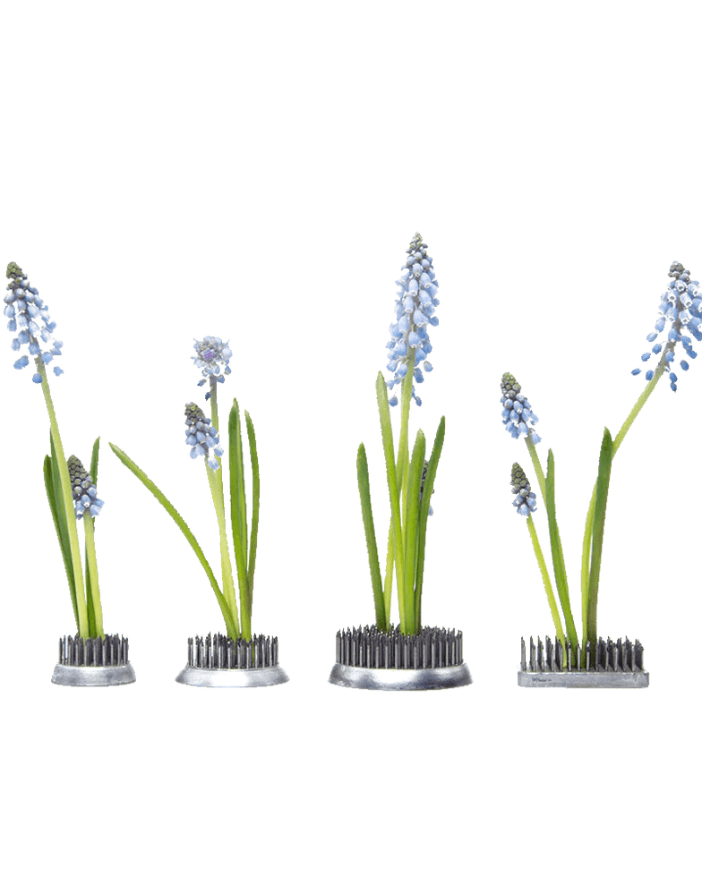 Kenzan Metal Floral Frogs For Ikebana - Chive US Wholesale