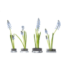 Kenzan Metal Floral Frogs For Ikebana - Chive US Wholesale