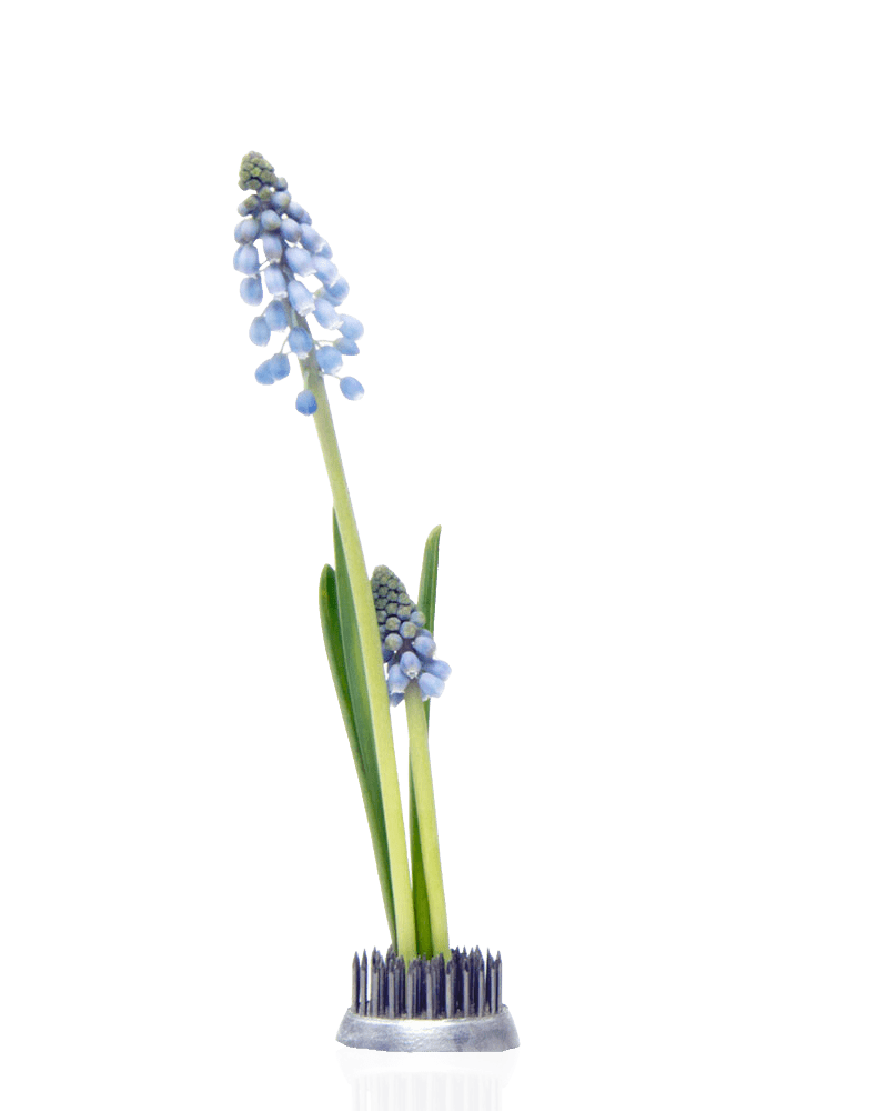 Kenzan Metal Floral Frogs For Ikebana - Chive US Wholesale