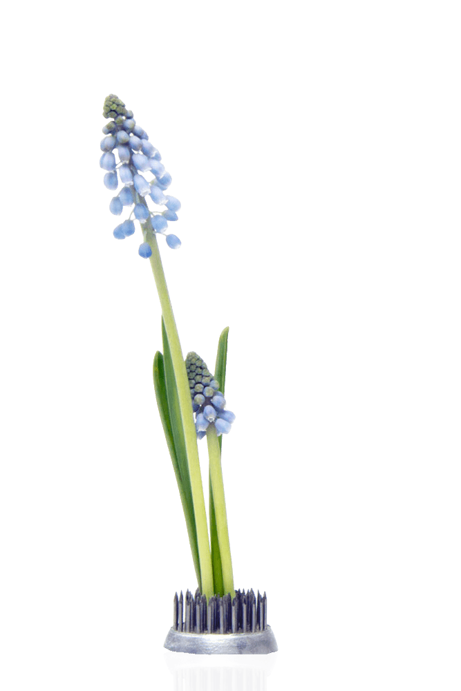 Kenzan Metal Floral Frogs For Ikebana - Chive US Wholesale
