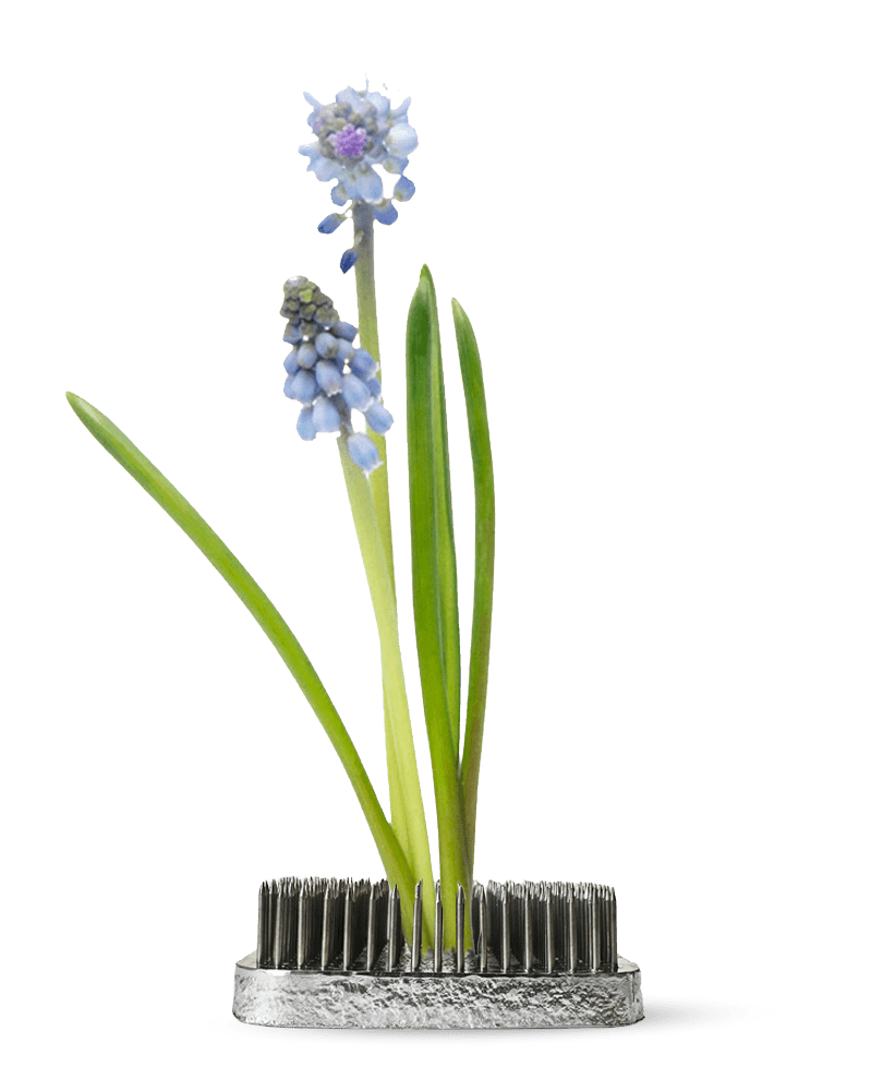 Kenzan Metal Floral Frogs For Ikebana - Chive US Wholesale