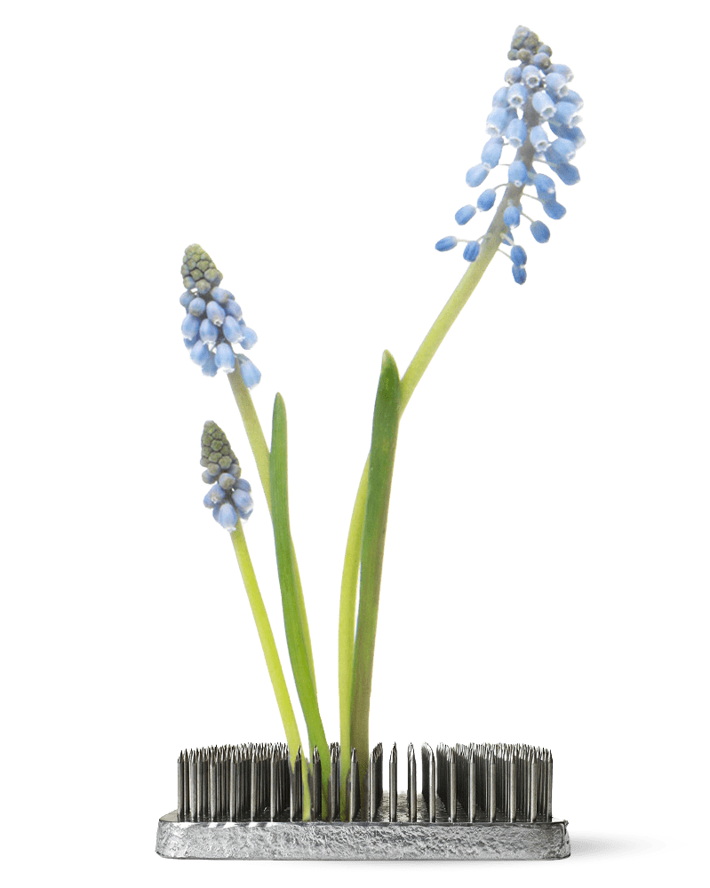 Kenzan Metal Floral Frogs For Ikebana - Chive US Wholesale