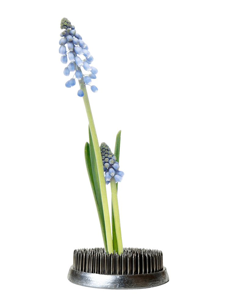 Kenzan Metal Floral Frogs For Ikebana - Chive US Wholesale