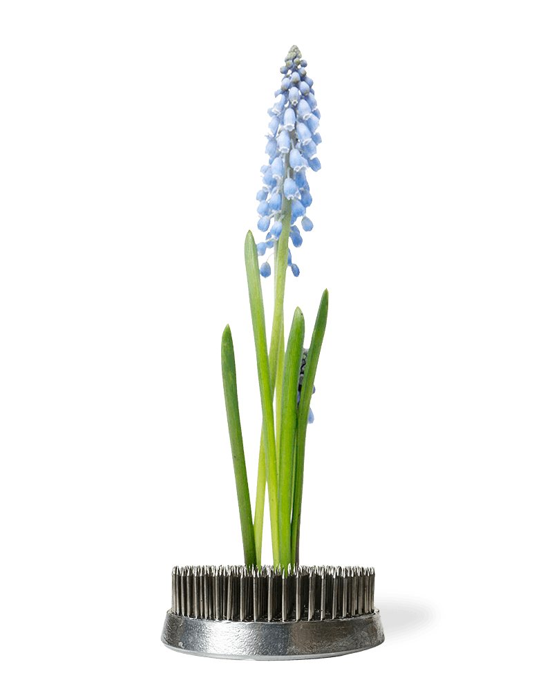 Kenzan Metal Floral Frogs For Ikebana - Chive US Wholesale