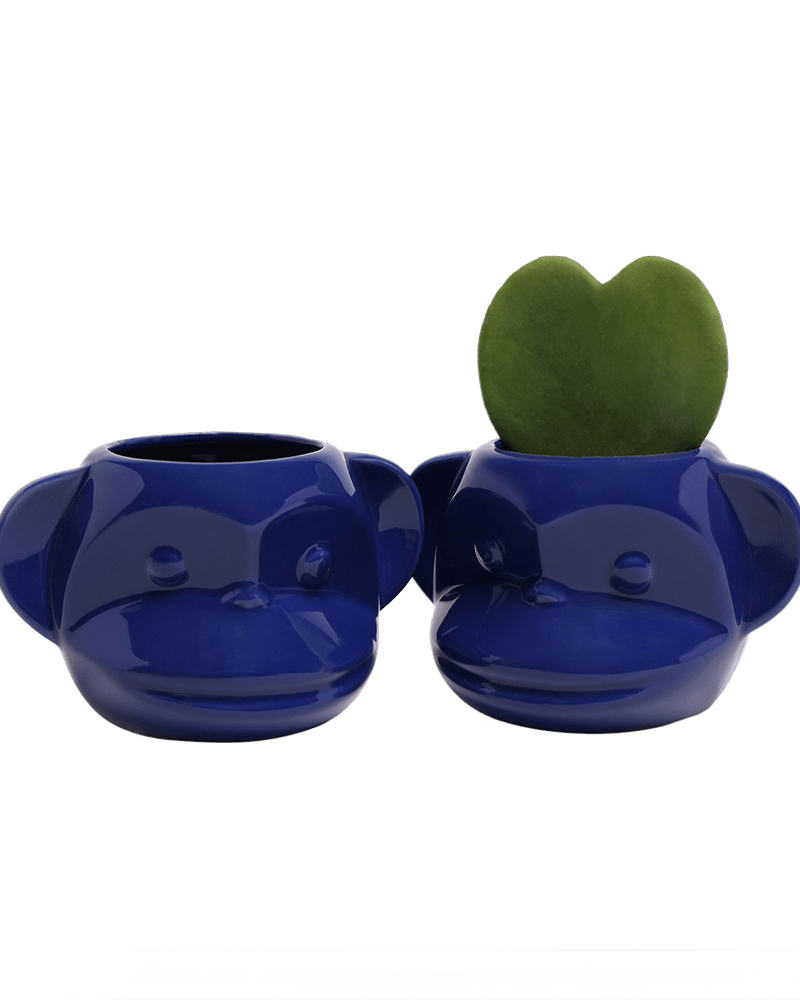 Funky Monkey Planter - Chive US Wholesale