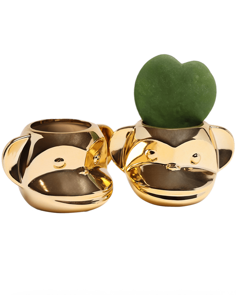Funky Monkey Planter - Chive US Wholesale