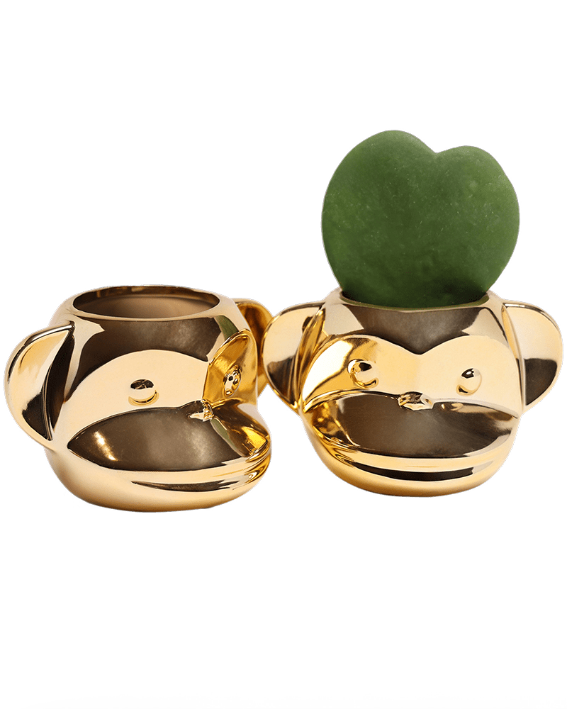 Funky Monkey Planter - Chive US Wholesale