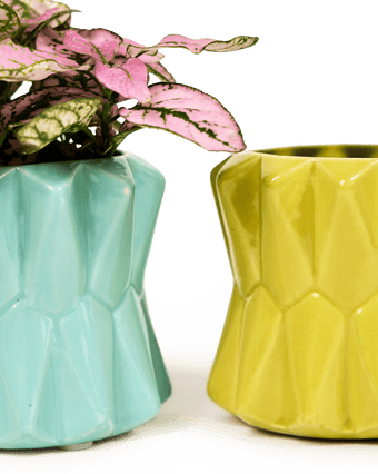 Fang Ceramic Modern Planter For Succulents - Chive US Wholesale
