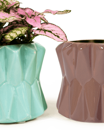 Fang Ceramic Modern Planter For Succulents - Chive US Wholesale