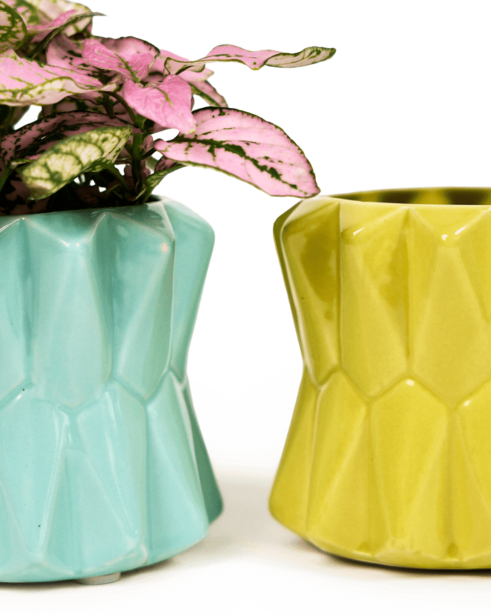 Fang Ceramic Modern Planter For Succulents - Chive US Wholesale