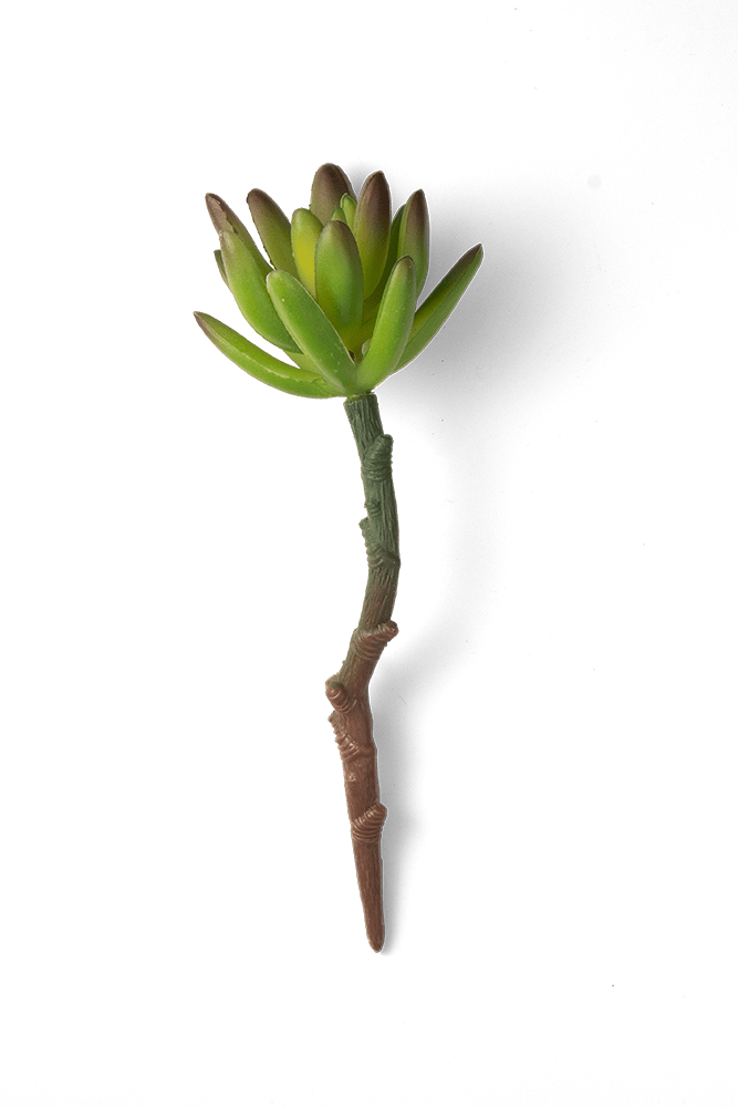 Premium Artificial Succulents - Lifelike Botanical Decor - Chive US Wholesale