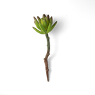 Premium Artificial Succulents - Lifelike Botanical Decor - Chive US Wholesale
