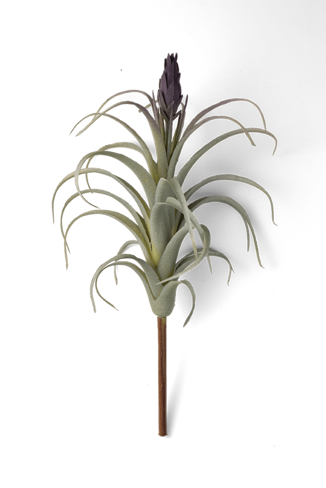Air Plant Fake Lifelike Realistic Unkillable! - Chive US Wholesale