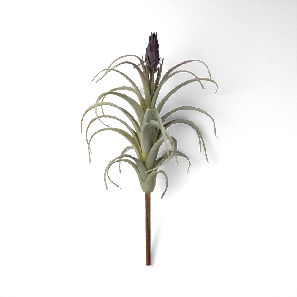 Air Plant Fake Lifelike Realistic Unkillable! - Chive US Wholesale
