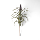 Air Plant Fake Lifelike Realistic Unkillable! - Chive US Wholesale