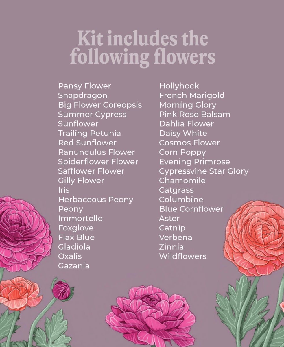 Pre - Order 2026 - 126 Seeds (September 2025) - Chive US Wholesale