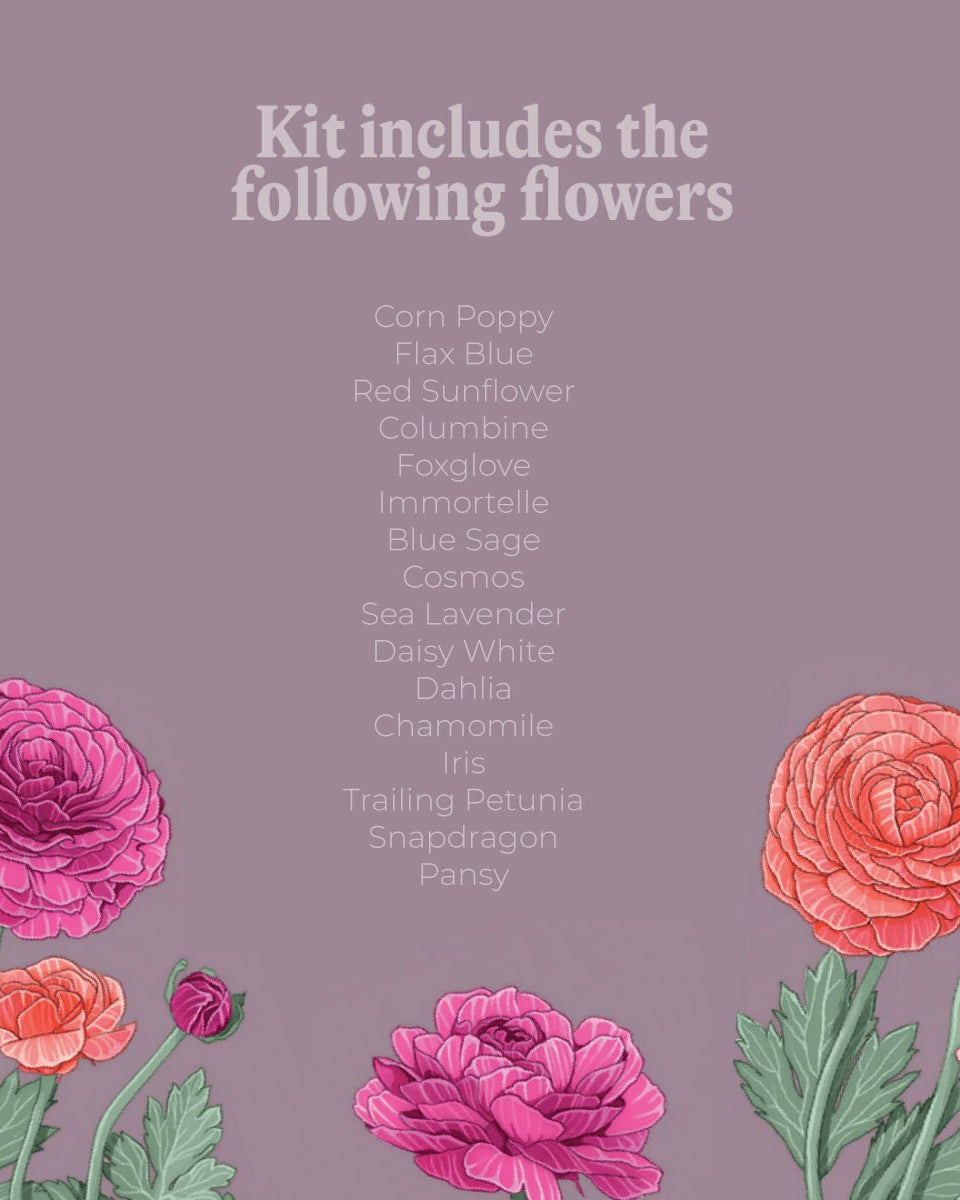 Flower Seeds Packets - 96pc Assortment 2 - Chive US Wholesale