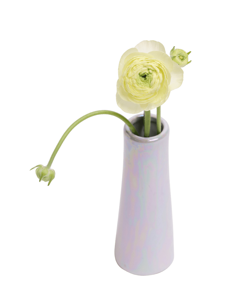 Galaxy Ceramic Bud Vase For Flowers - Chive US Wholesale