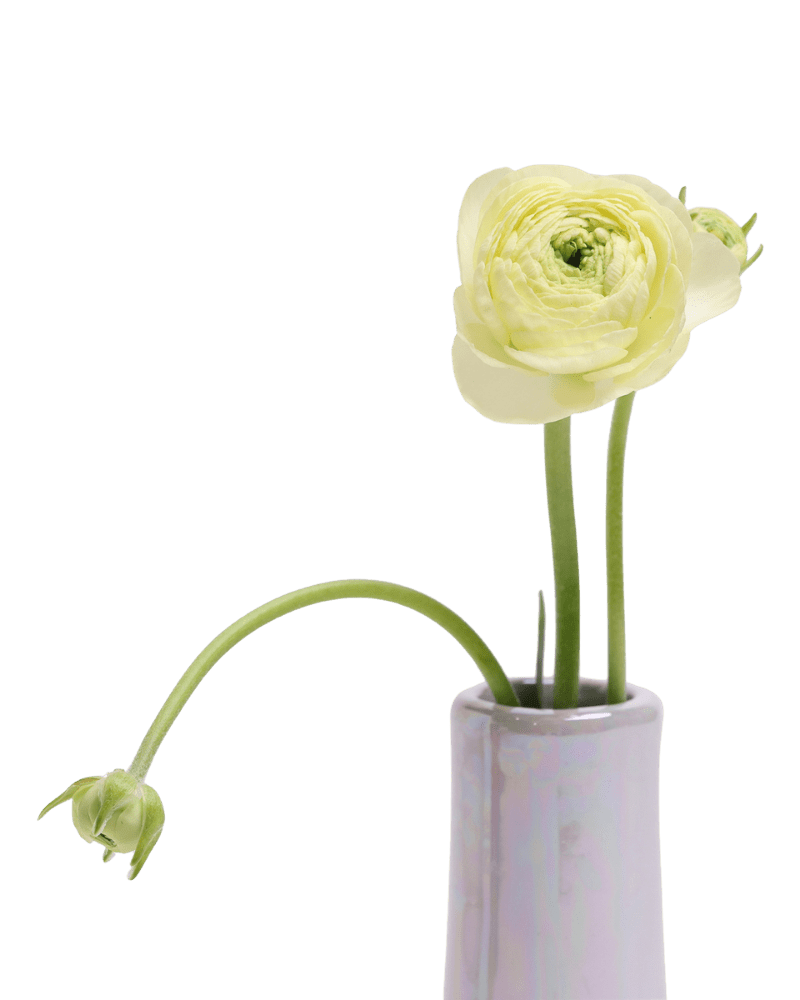 Galaxy Ceramic Bud Vase For Flowers - Chive US Wholesale