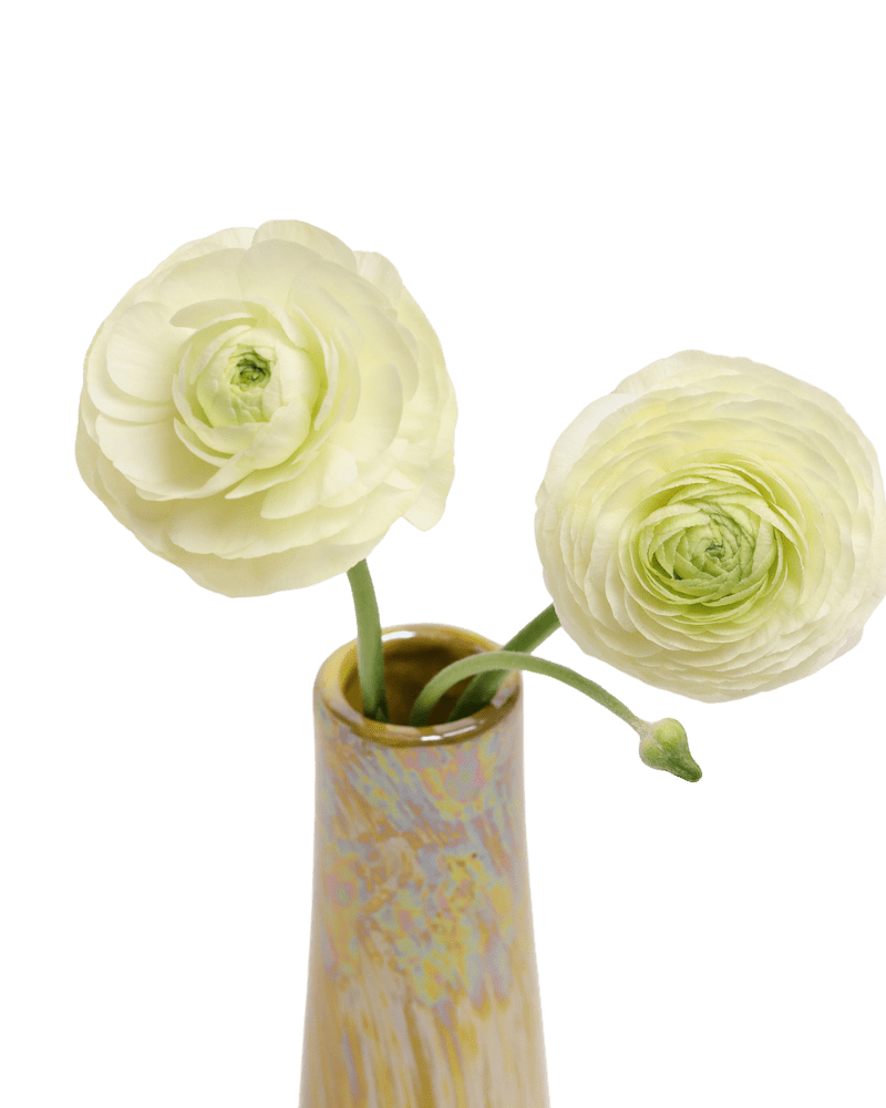 Galaxy Ceramic Bud Vase For Flowers - Chive US Wholesale