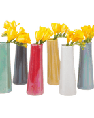 Galaxy Ceramic Bud Vase Kit - Chive US Wholesale