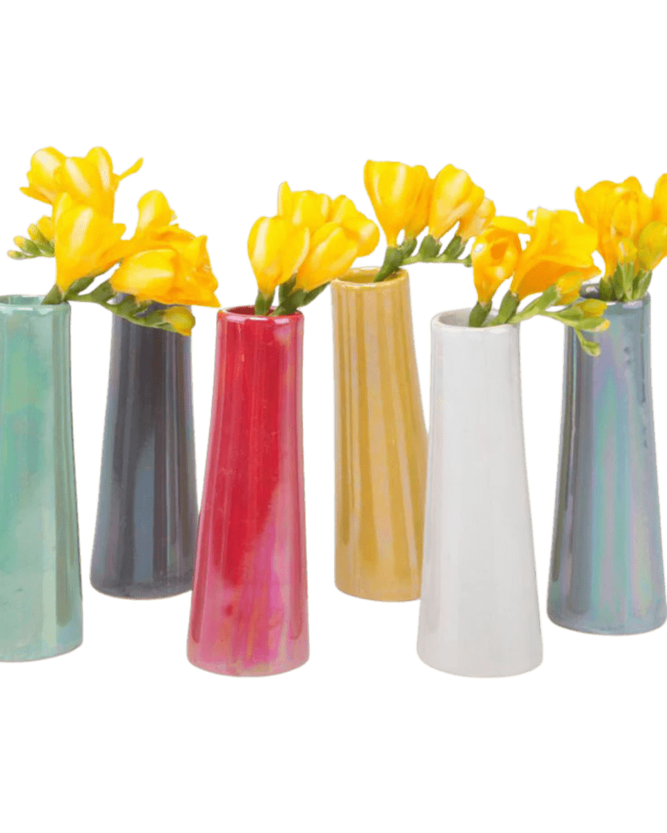 Galaxy Ceramic Bud Vase Kit - Chive US Wholesale