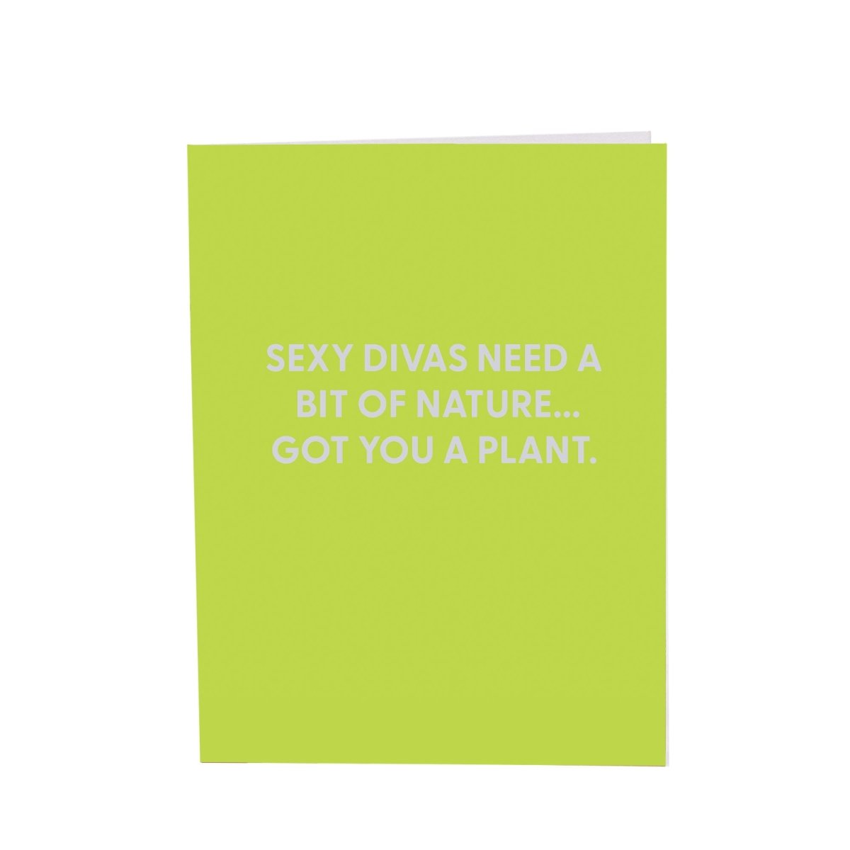 Sexy divas need a bit of nature... Got you a plant. - Greeting Card - Chive US Wholesale