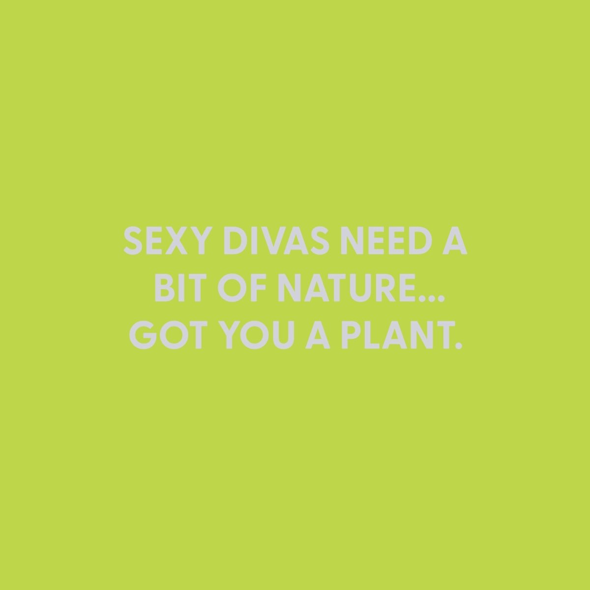 Sexy divas need a bit of nature... Got you a plant. - Greeting Card - Chive US Wholesale