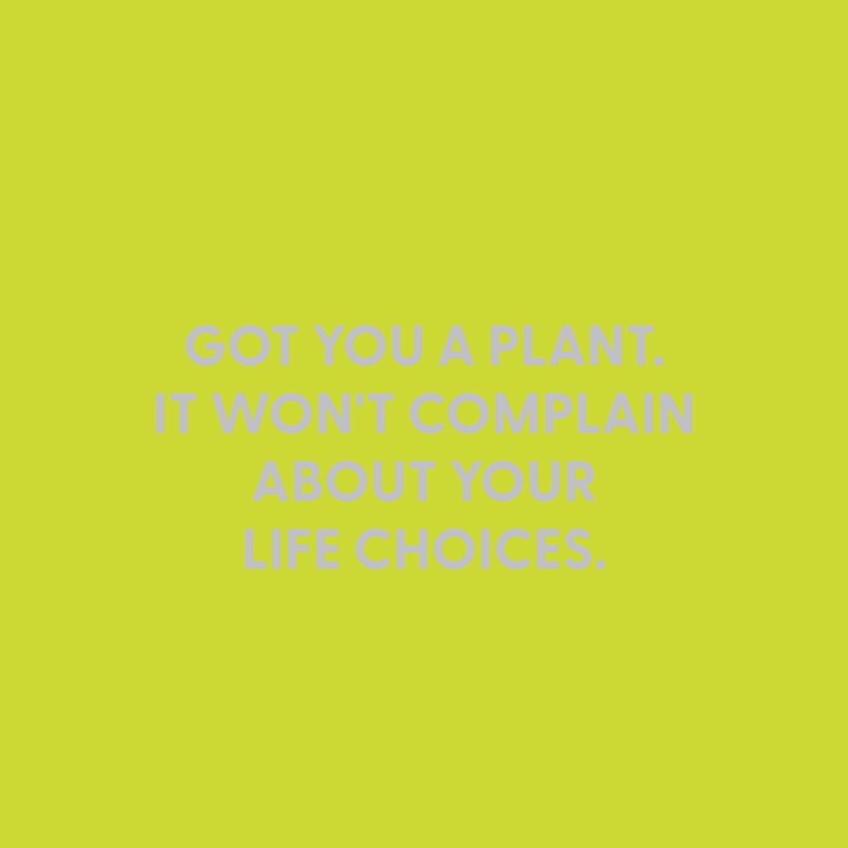 Got you a plant. It won't complain about your life choices. - Greeting Card - Chive US Wholesale