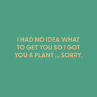 I had no idea what to get you so i got you a plant ... sorry. - Greeting Card - Chive US Wholesale