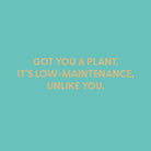 Got you a plant. It's low - maintenance, unlike you. - Greeting Card - Chive US Wholesale