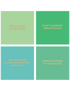 Greenhouse Collection - Plant Greeting Cards (72pcs) - Chive US Wholesale