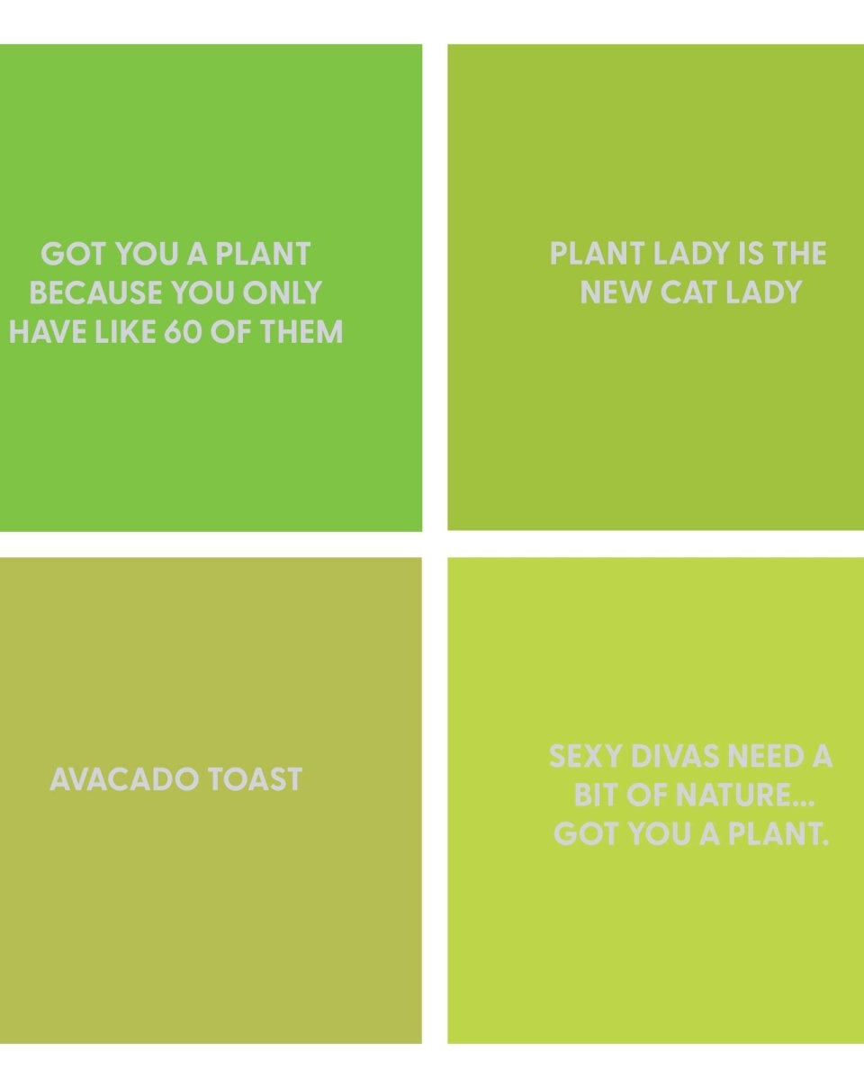 Plant Shop Greeting Cards - 96pc Assortment - Chive US Wholesale