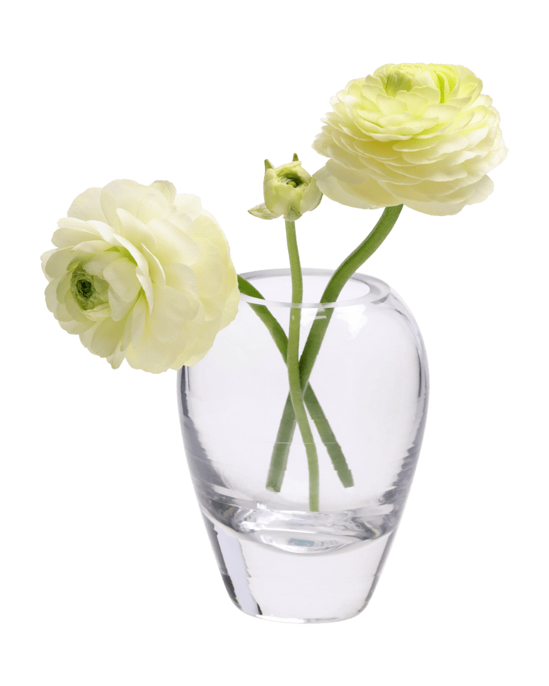 George Glass Clear Bud Vase For Flowers - Chive US Wholesale