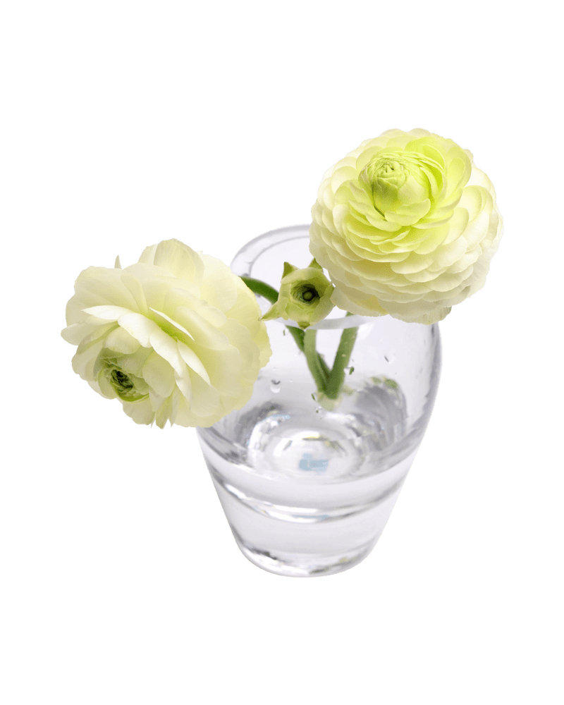 George Glass Clear Bud Vase For Flowers - Chive US Wholesale