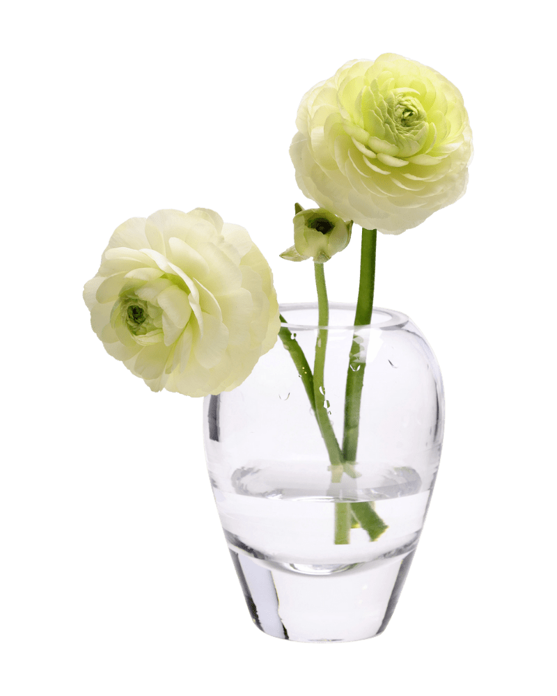 George Glass Clear Bud Vase For Flowers - Chive US Wholesale
