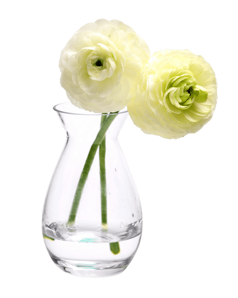George Glass Clear Bud Vase For Flowers - Chive US Wholesale