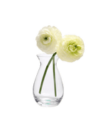 George Glass Clear Bud Vase For Flowers - Chive US Wholesale