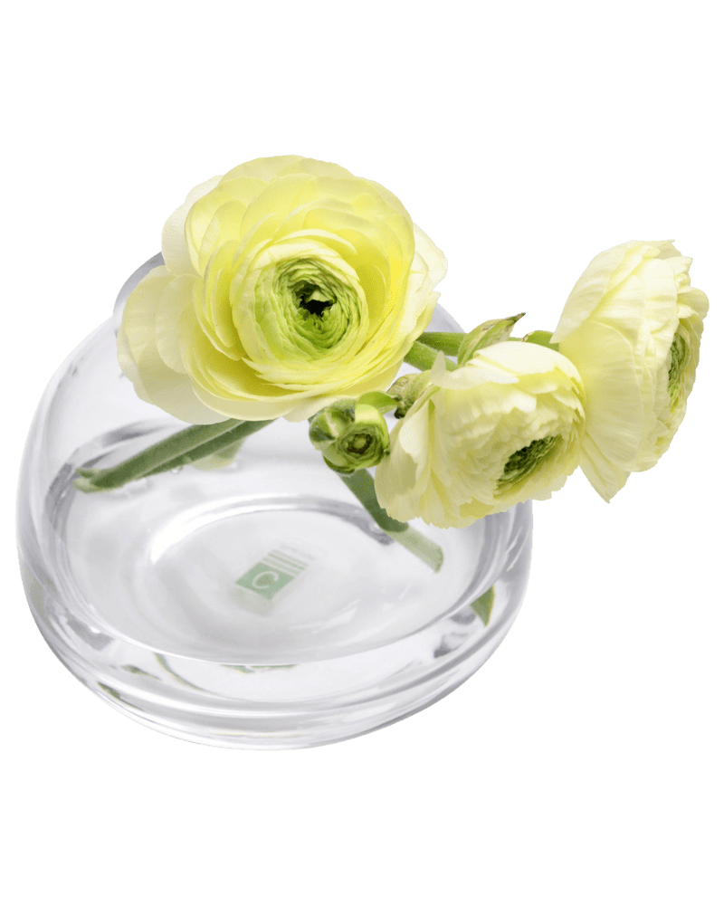 George Glass Clear Bud Vase For Flowers - Chive US Wholesale