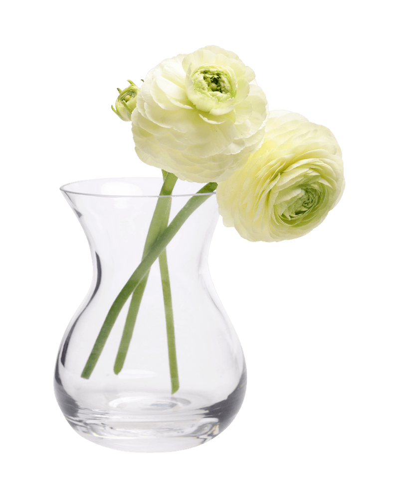 George Glass Clear Bud Vase For Flowers - Chive US Wholesale
