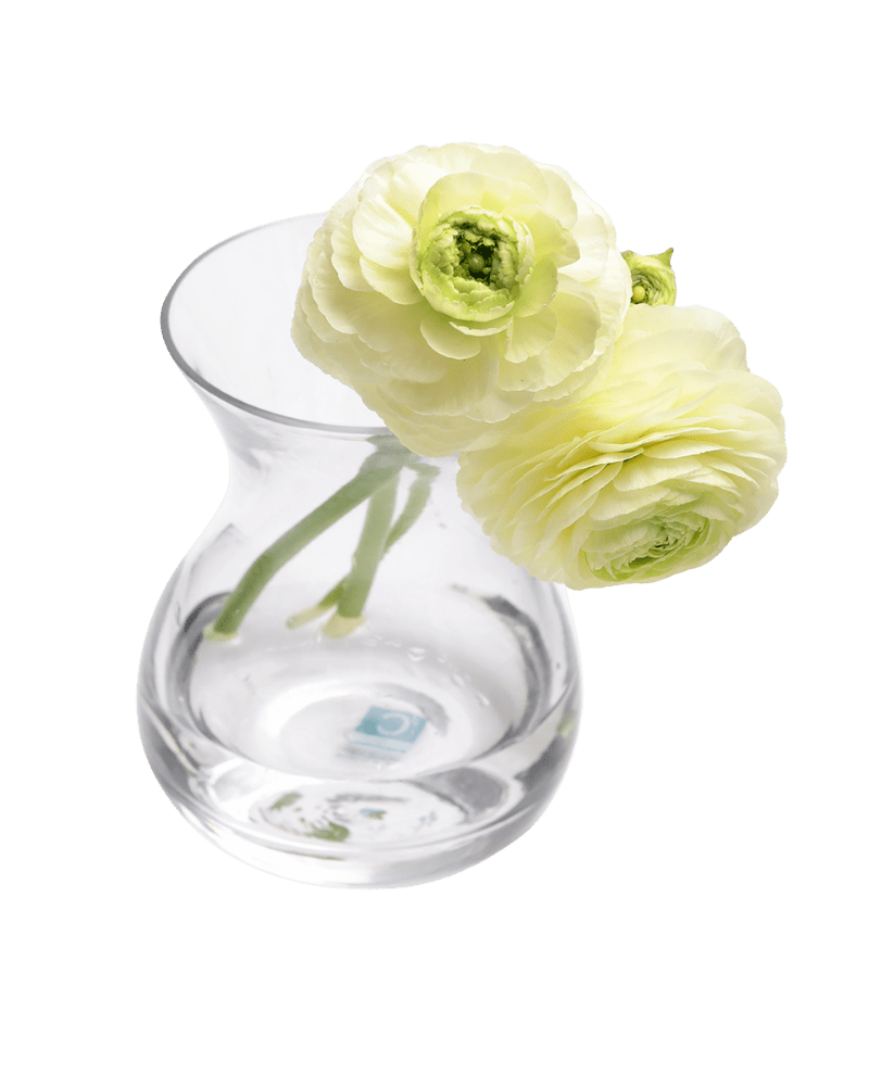 George Glass Clear Bud Vase For Flowers - Chive US Wholesale