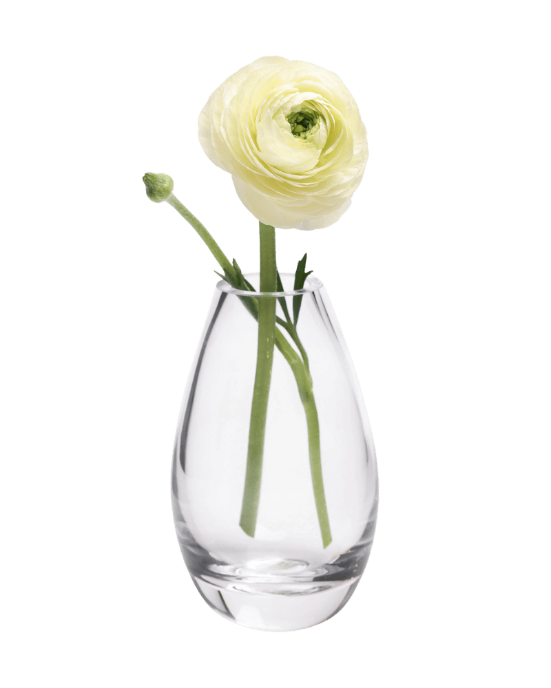 George Glass Clear Bud Vase For Flowers - Chive US Wholesale