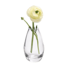 George Glass Clear Bud Vase For Flowers - Chive US Wholesale