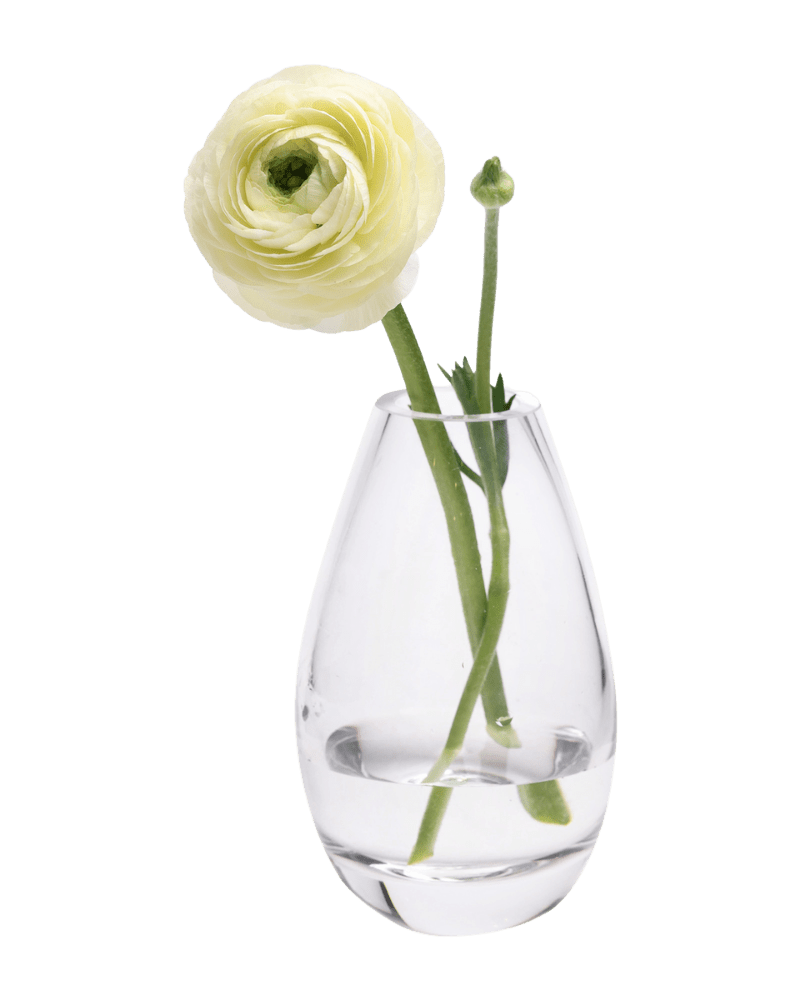George Glass Clear Bud Vase For Flowers - Chive US Wholesale